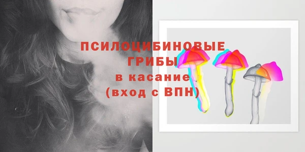 дурь Новозыбков