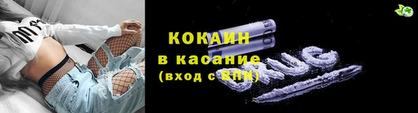 ГАЛЛЮЦИНОГЕННЫЕ ГРИБЫ Аркадак