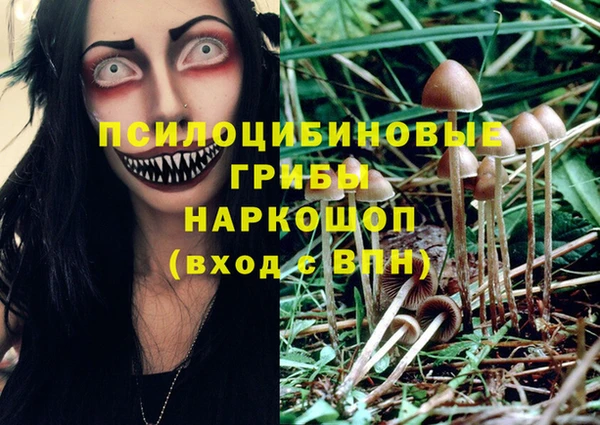 таблы Новокубанск