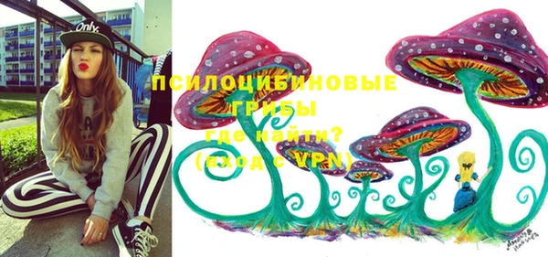 таблы Новокубанск
