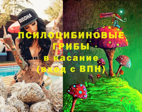 ГАЛЛЮЦИНОГЕННЫЕ ГРИБЫ Аркадак