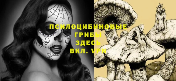 крисы Алексин